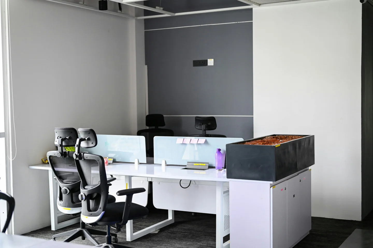 Open-plan office with white desks, mesh chairs and a planter