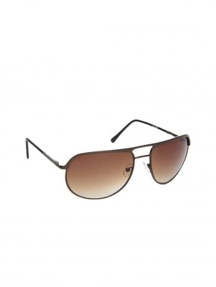 Brown classic sunglasses