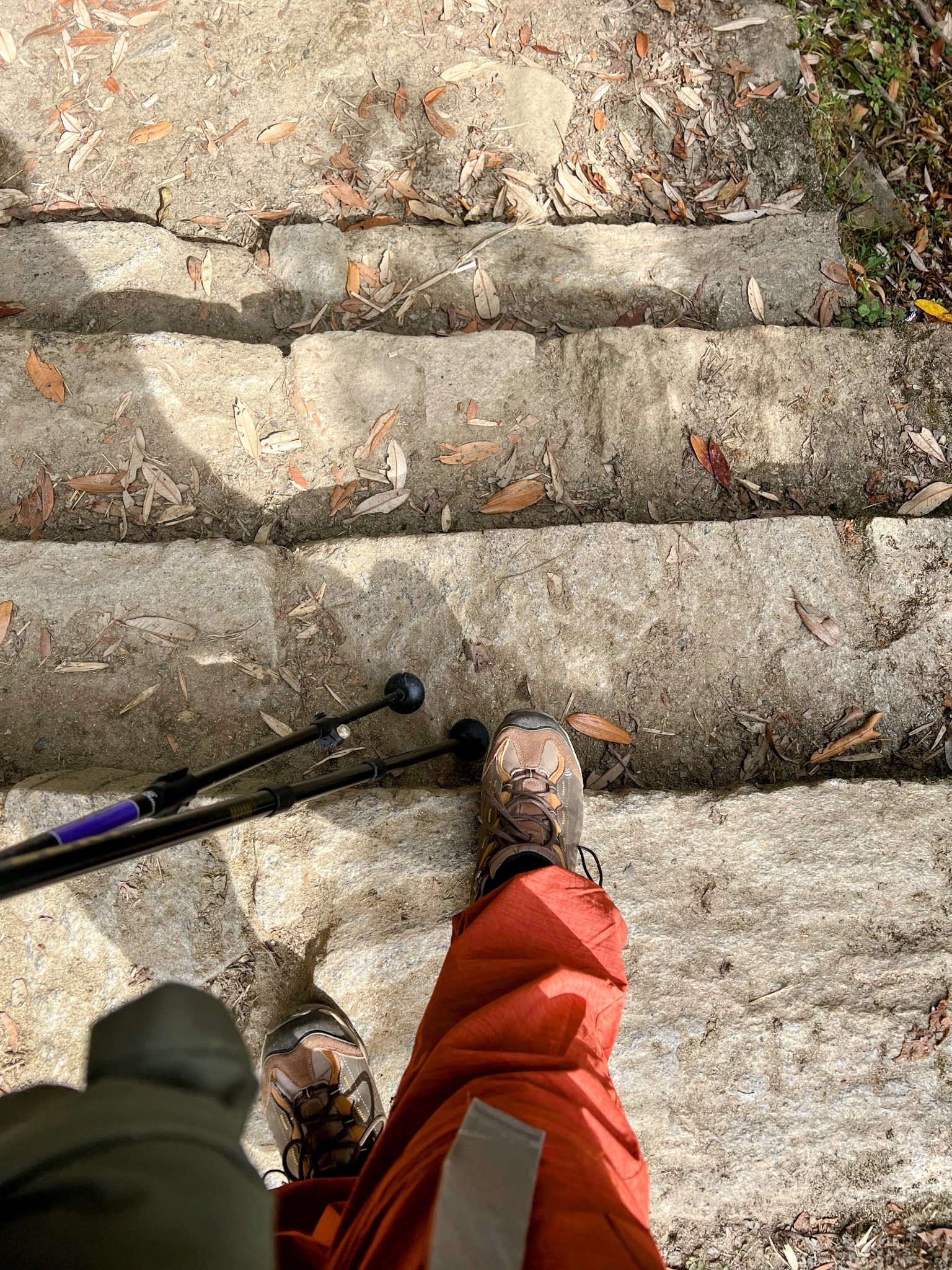 Ironbark Boot GTX on stone trail steps beside a trekking pole