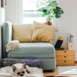 Curved armchair beside a tall window