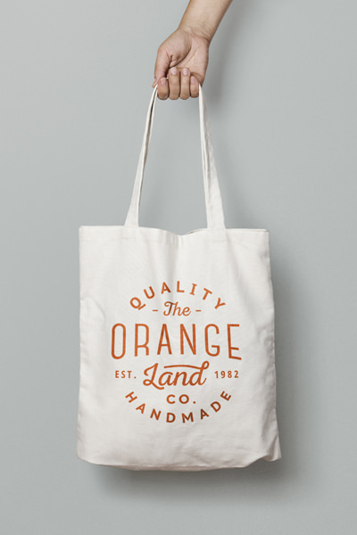 The Orange Bag