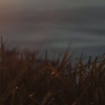Explore video poster frame