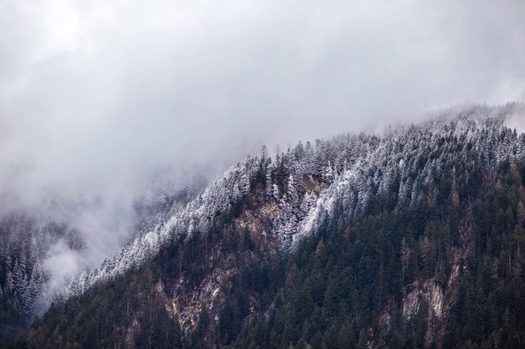 Fog rolling over a dark pine forest ridge