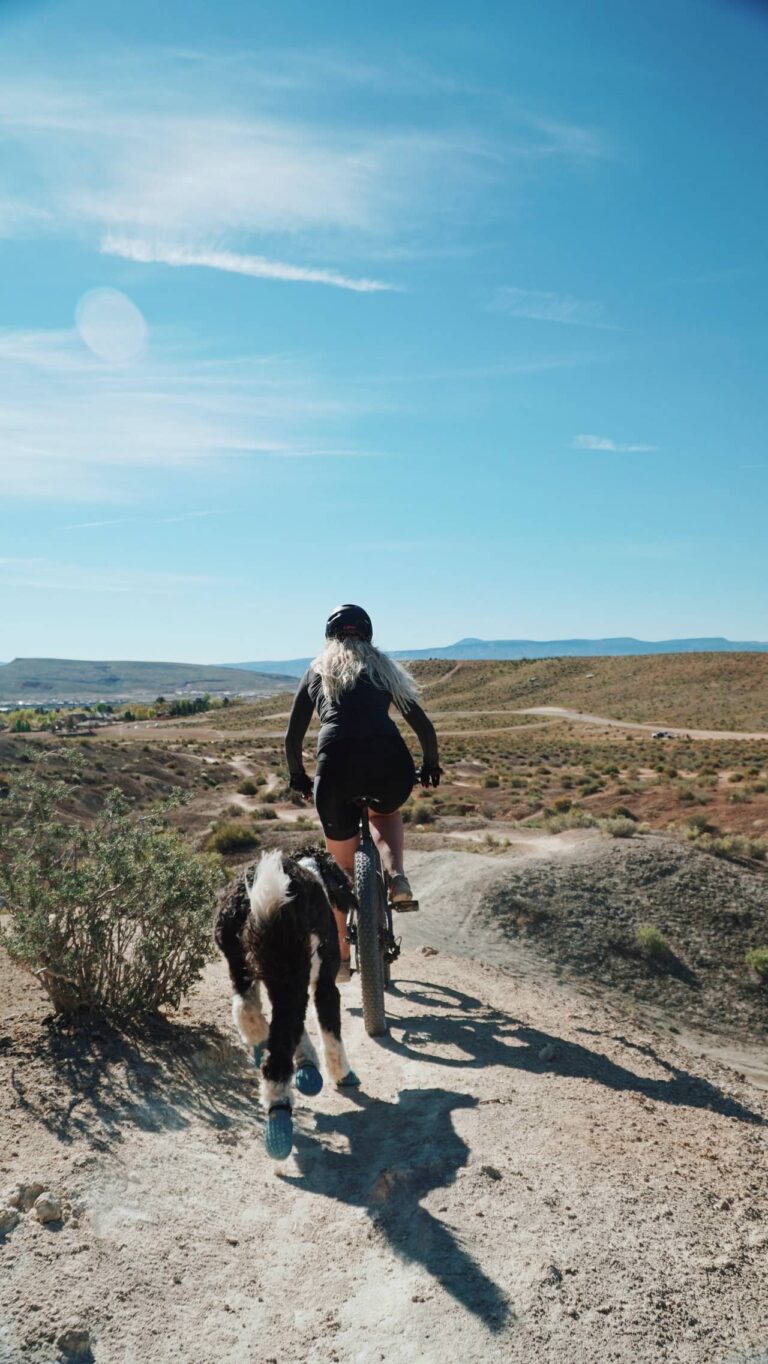 Riders on horseback on a desert trail under a wide blue sky