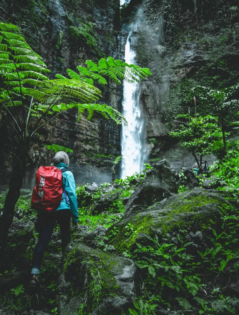 Hiker beside a waterfall in a green rainforest