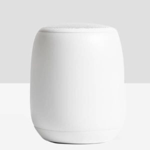 Canvas wireless speaker on display