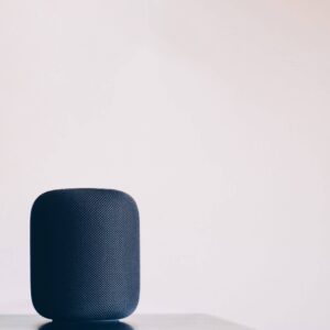 Canvas speaker styled on a table
