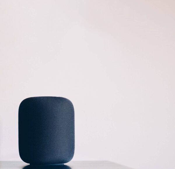 Canvas speaker styled on a table