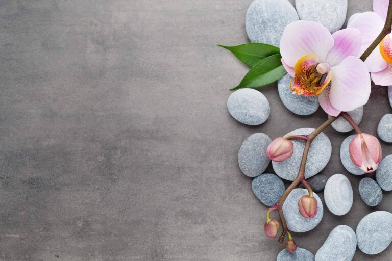 Petals floating in a warm foot bath