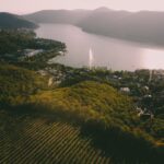 Vineyard terraces above the lake at sunset