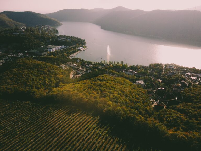 Vineyard terraces above the lake at sunset