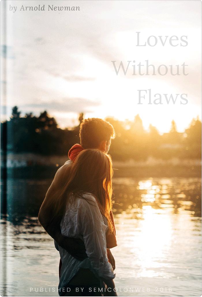 Loves Without Flaws book cover